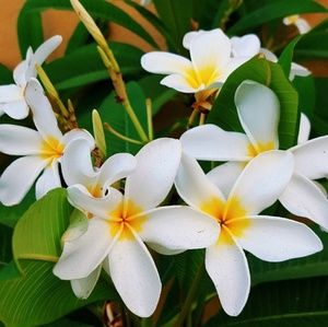 Meet your Posher, Magally